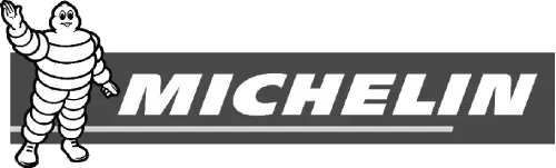 MICHELIN (La referencia absoluta).