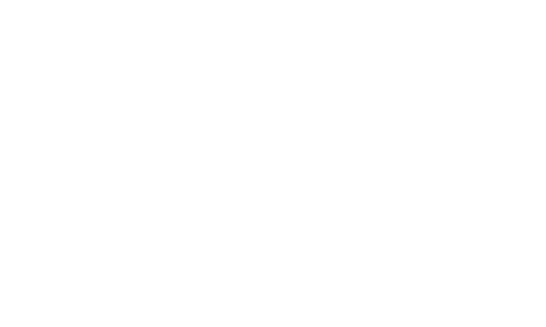 TOYO TIRES ( Rendimiento japonés).